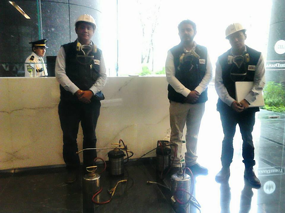 Fumigación profesional